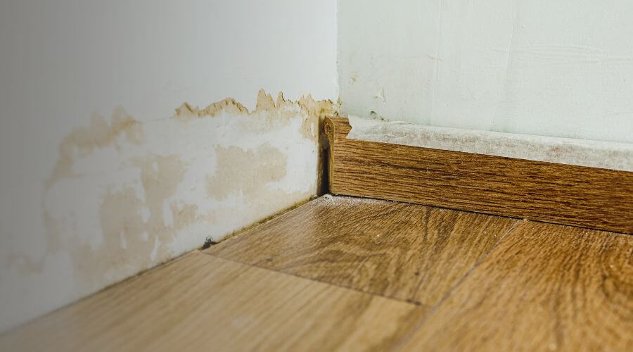 Why choose Basement Mold Remediation North Bend for basement mold remediation in North Bend